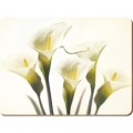 Creative Tops Placemat & Coaster Set - Cream Lillies Creative Tops Placemat & Coaster Set - Cream Lillies